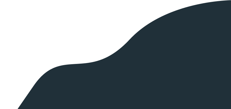 revslider_h7-shape.png